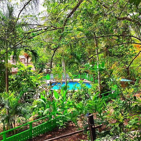 Maya Mountain Lodge San Ignacio Kültér fotó