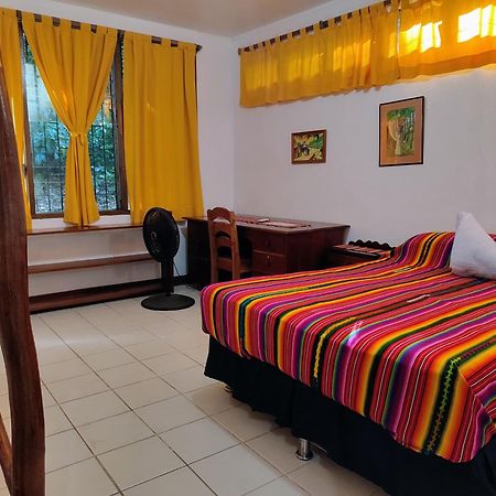 Maya Mountain Lodge San Ignacio Kültér fotó