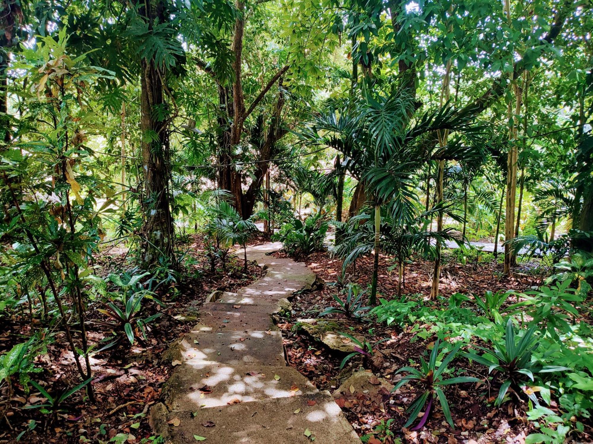 Maya Mountain Lodge San Ignacio Kültér fotó