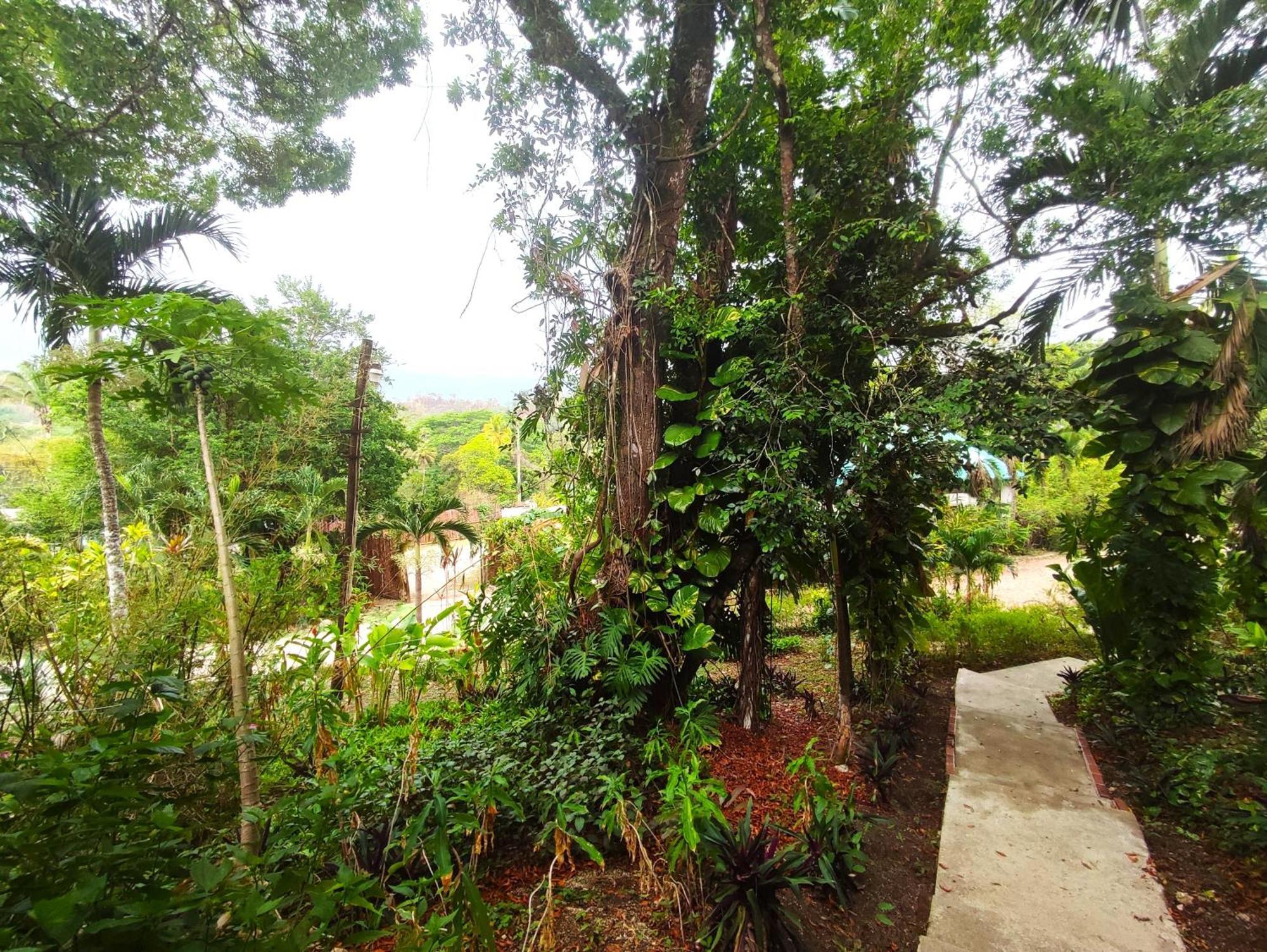 Maya Mountain Lodge San Ignacio Kültér fotó