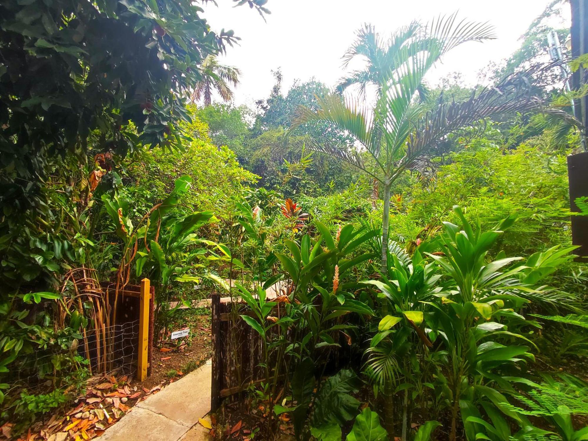 Maya Mountain Lodge San Ignacio Kültér fotó