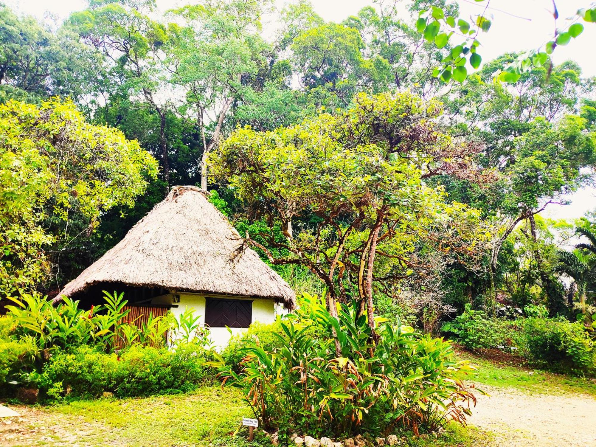 Maya Mountain Lodge San Ignacio Kültér fotó