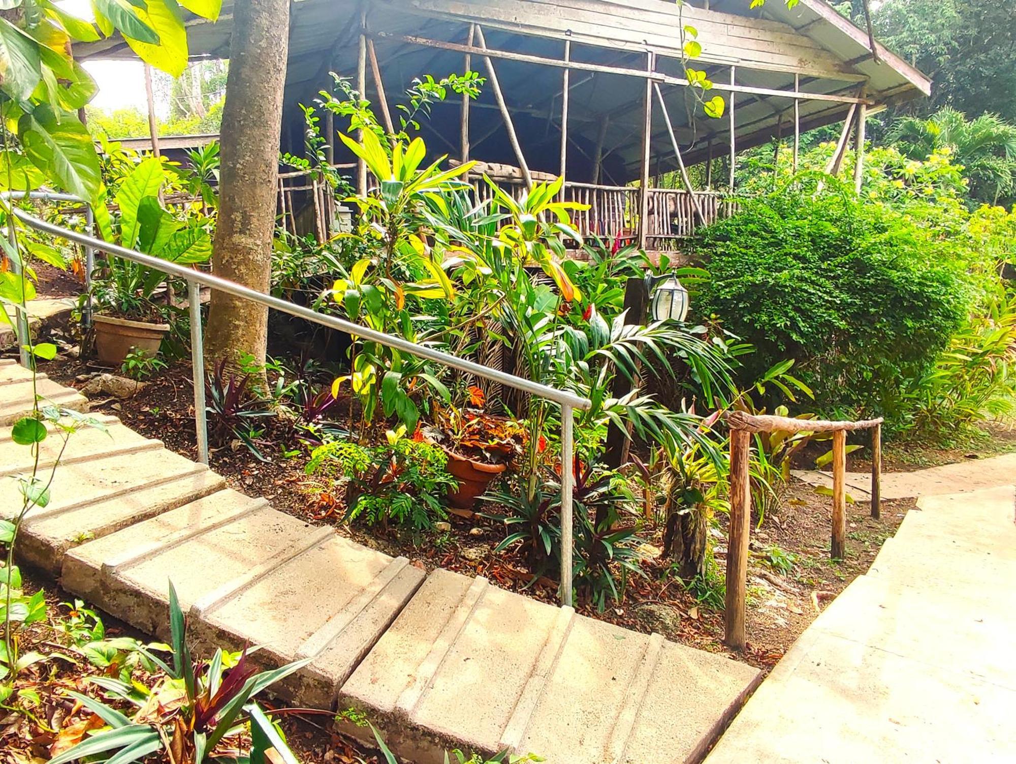 Maya Mountain Lodge San Ignacio Kültér fotó