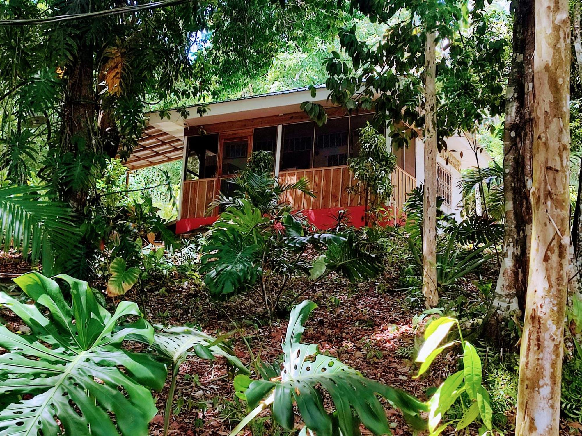 Maya Mountain Lodge San Ignacio Kültér fotó