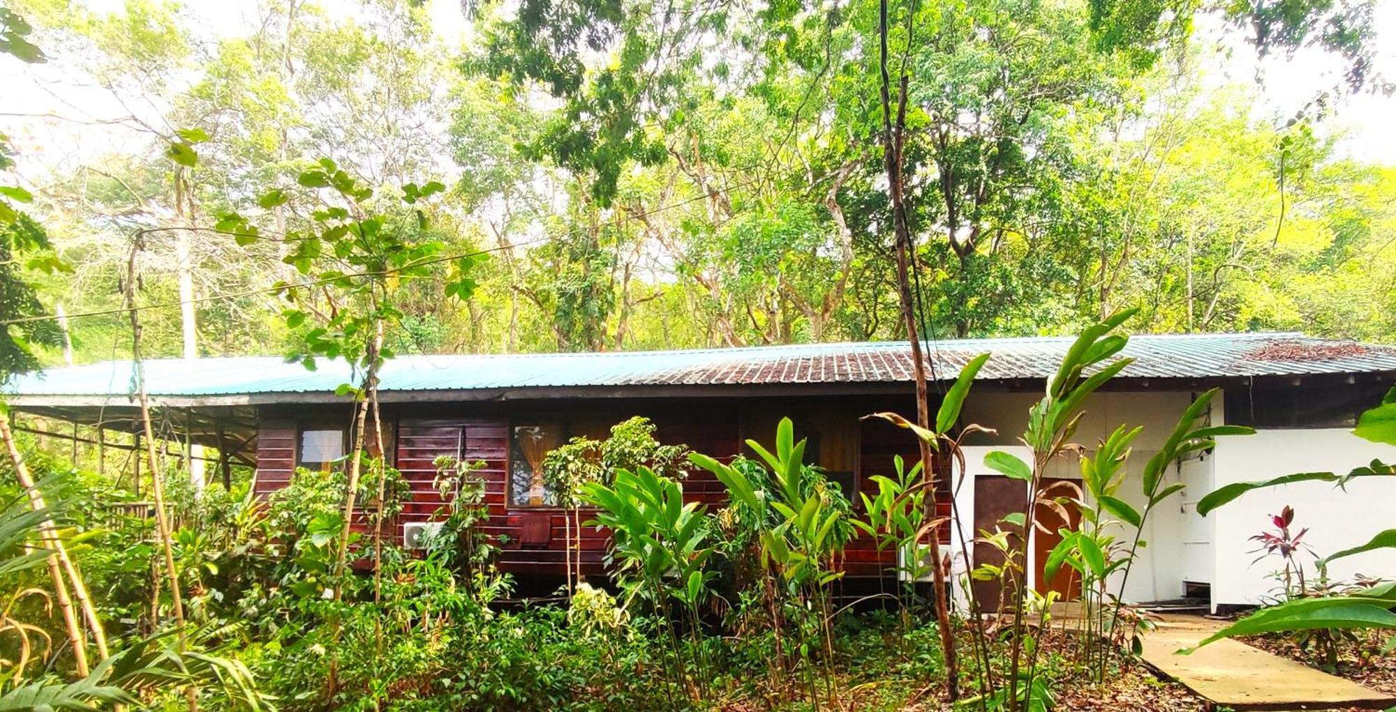 Maya Mountain Lodge San Ignacio Kültér fotó