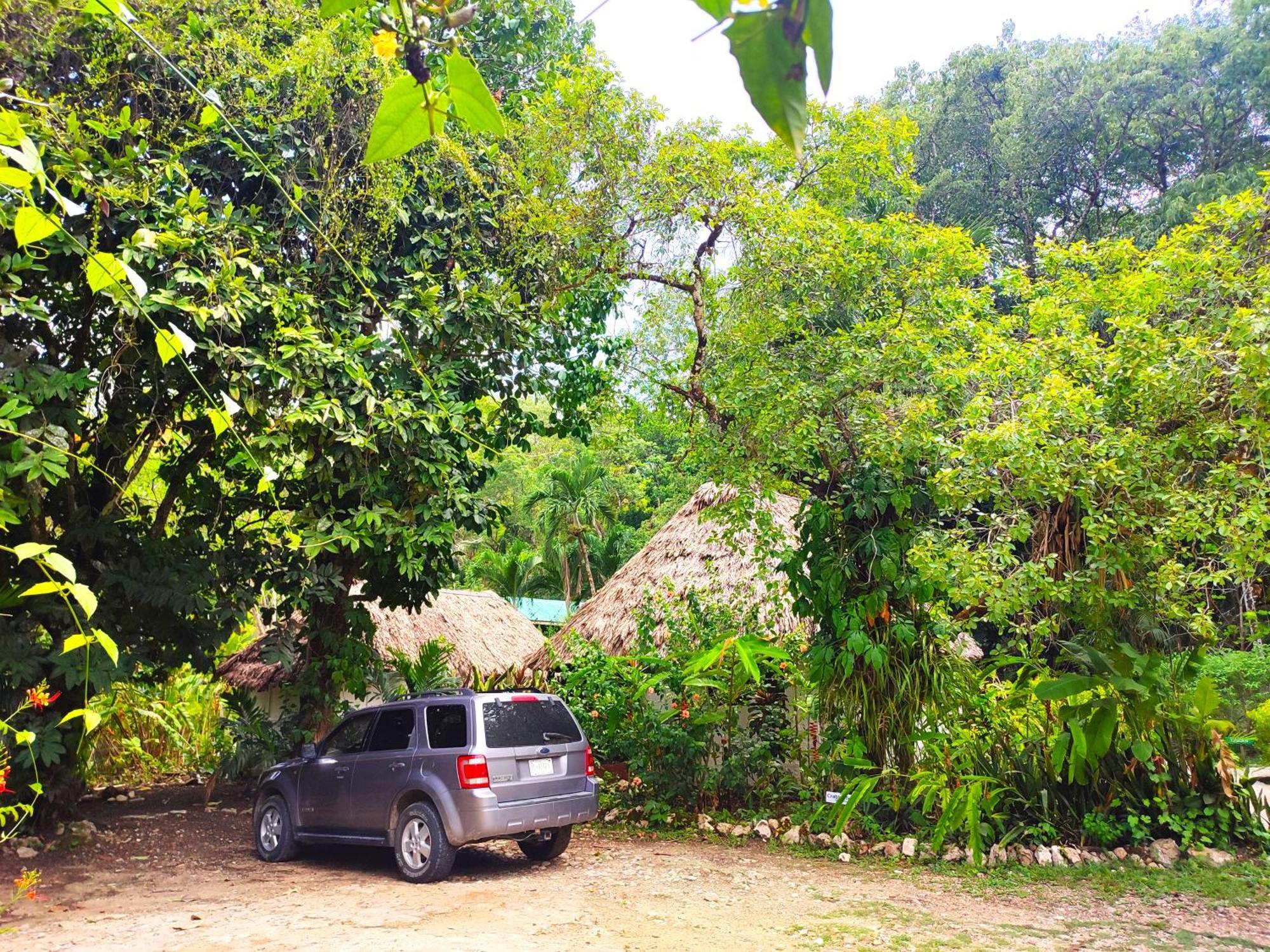 Maya Mountain Lodge San Ignacio Kültér fotó