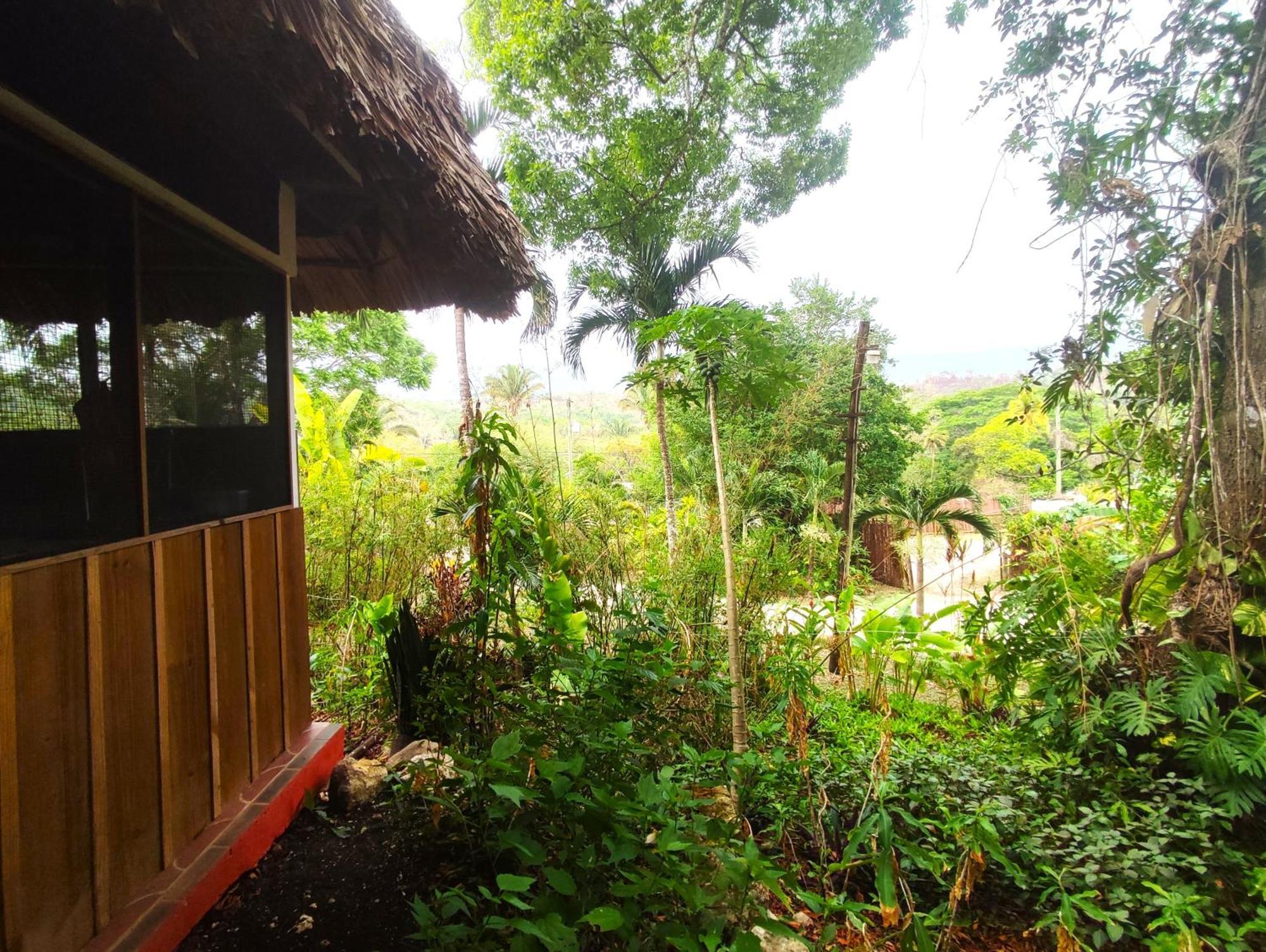 Maya Mountain Lodge San Ignacio Kültér fotó