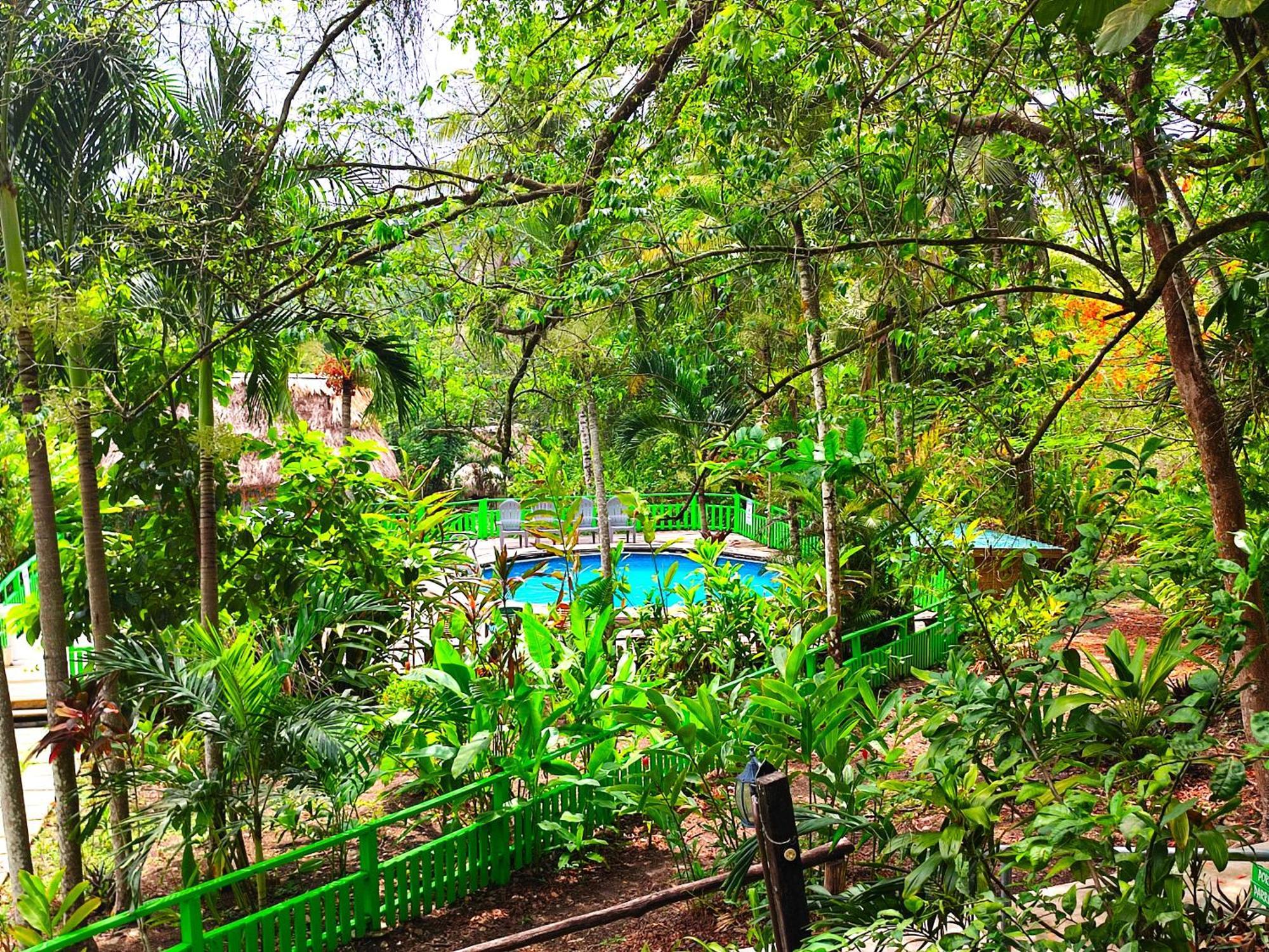 Maya Mountain Lodge San Ignacio Kültér fotó
