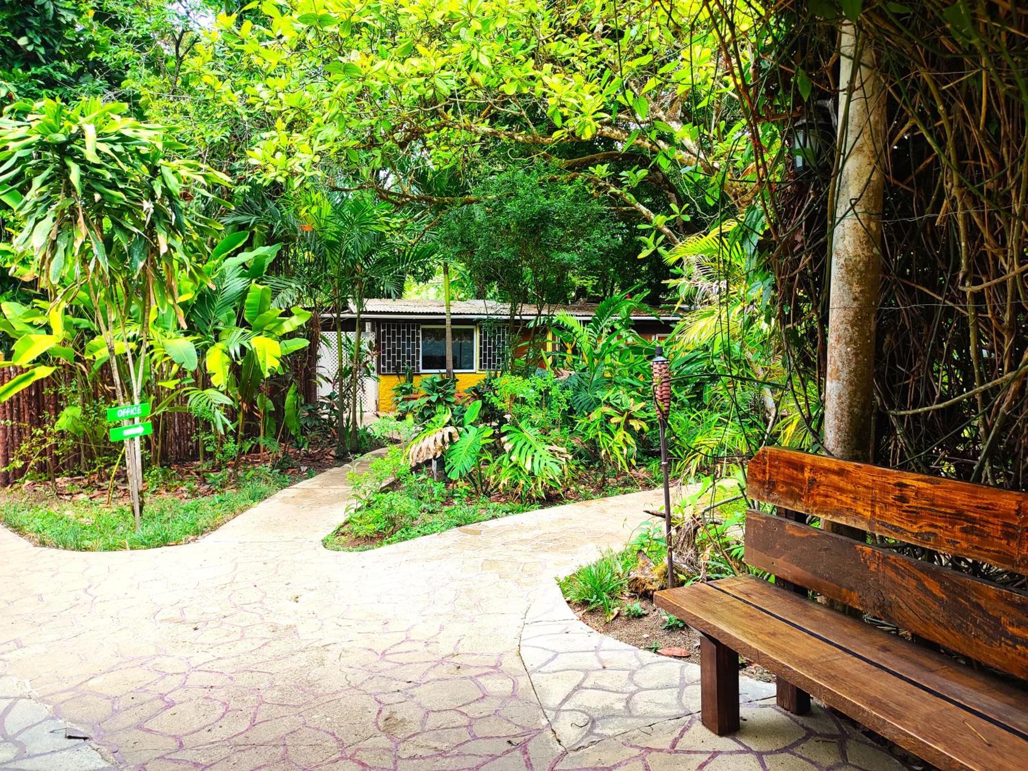 Maya Mountain Lodge San Ignacio Kültér fotó