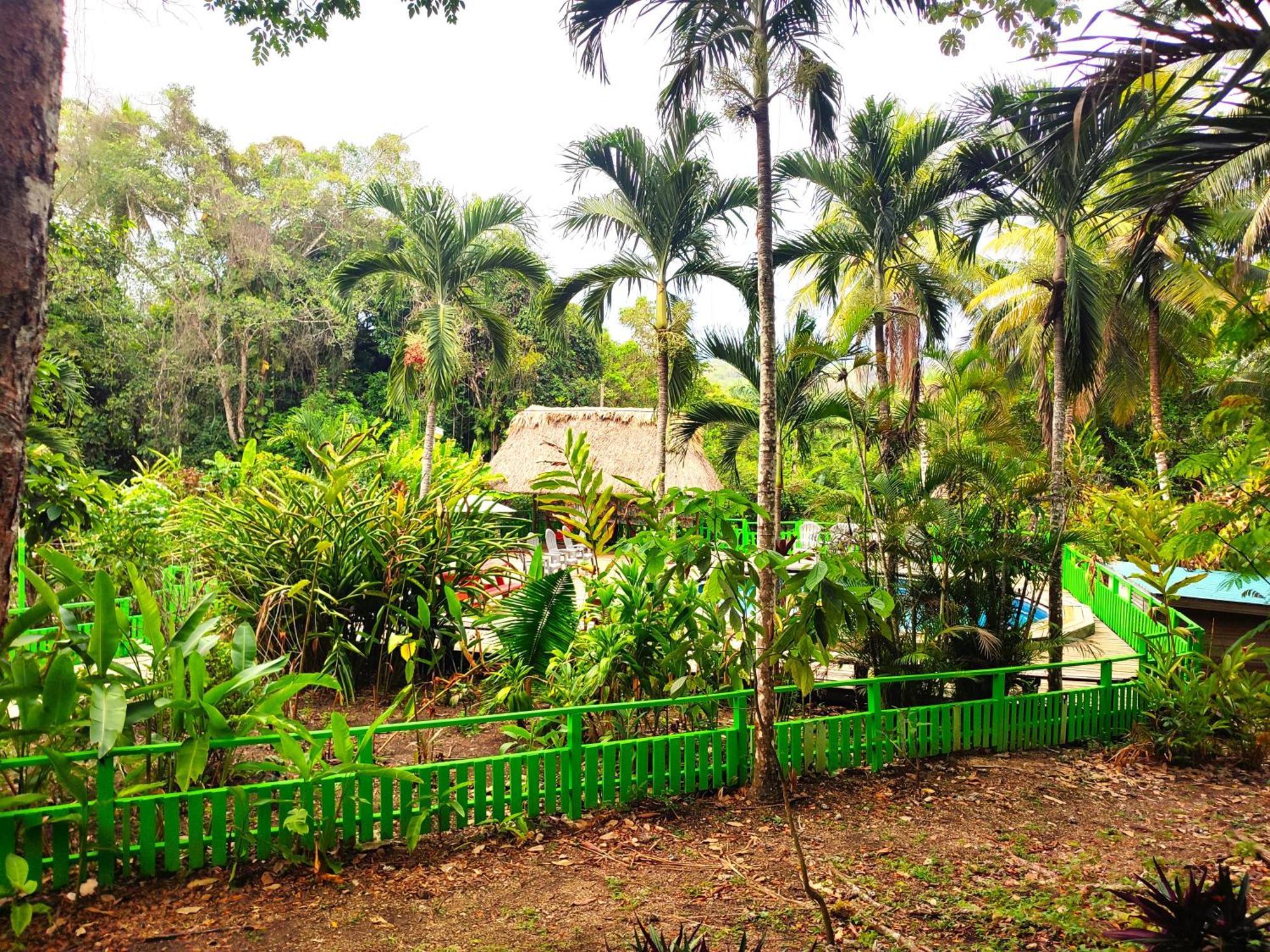 Maya Mountain Lodge San Ignacio Kültér fotó