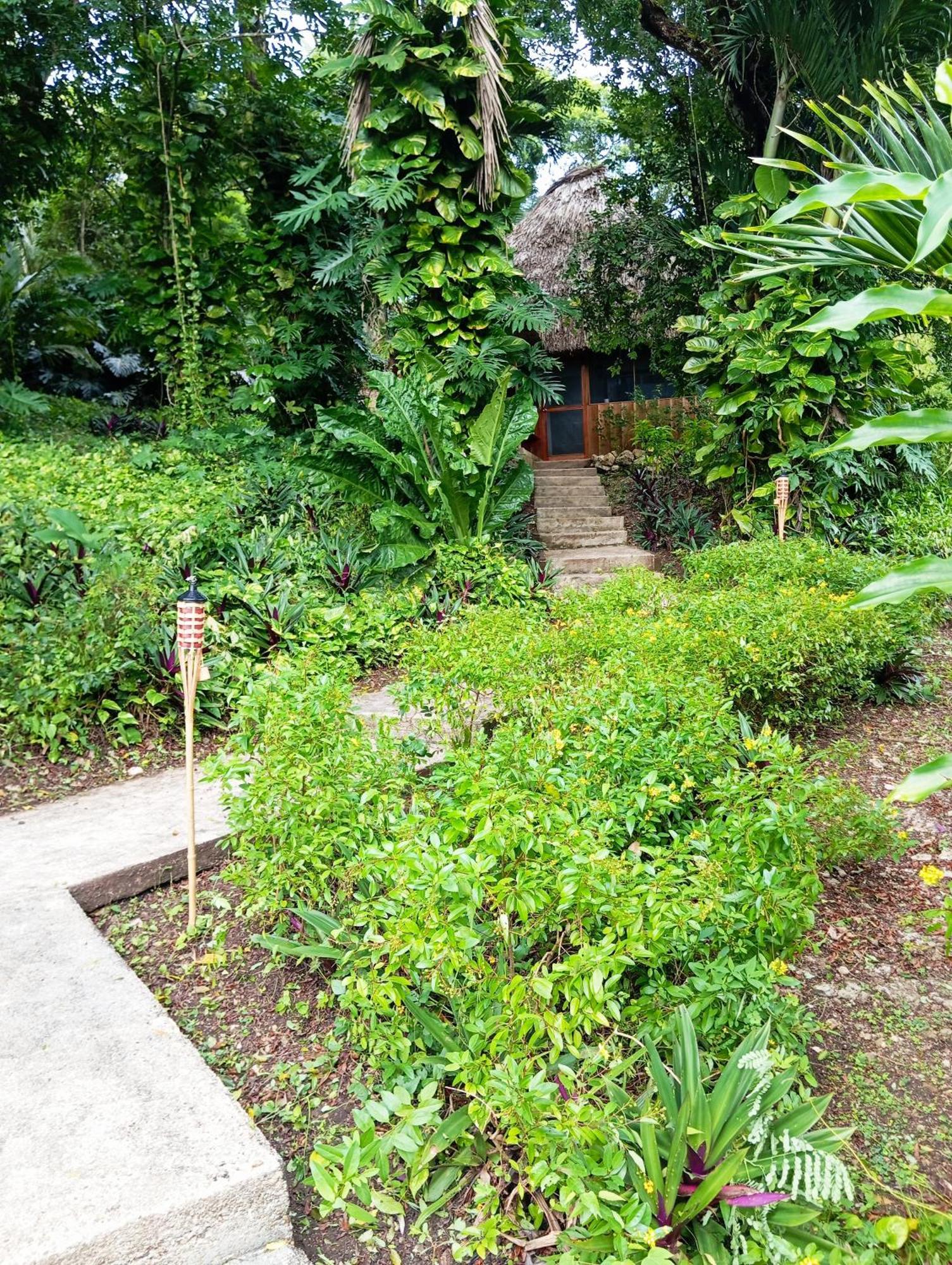 Maya Mountain Lodge San Ignacio Kültér fotó